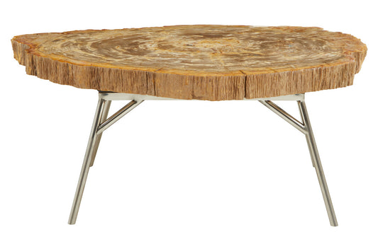 Artifact Natural Petrified Wood Coffee Table