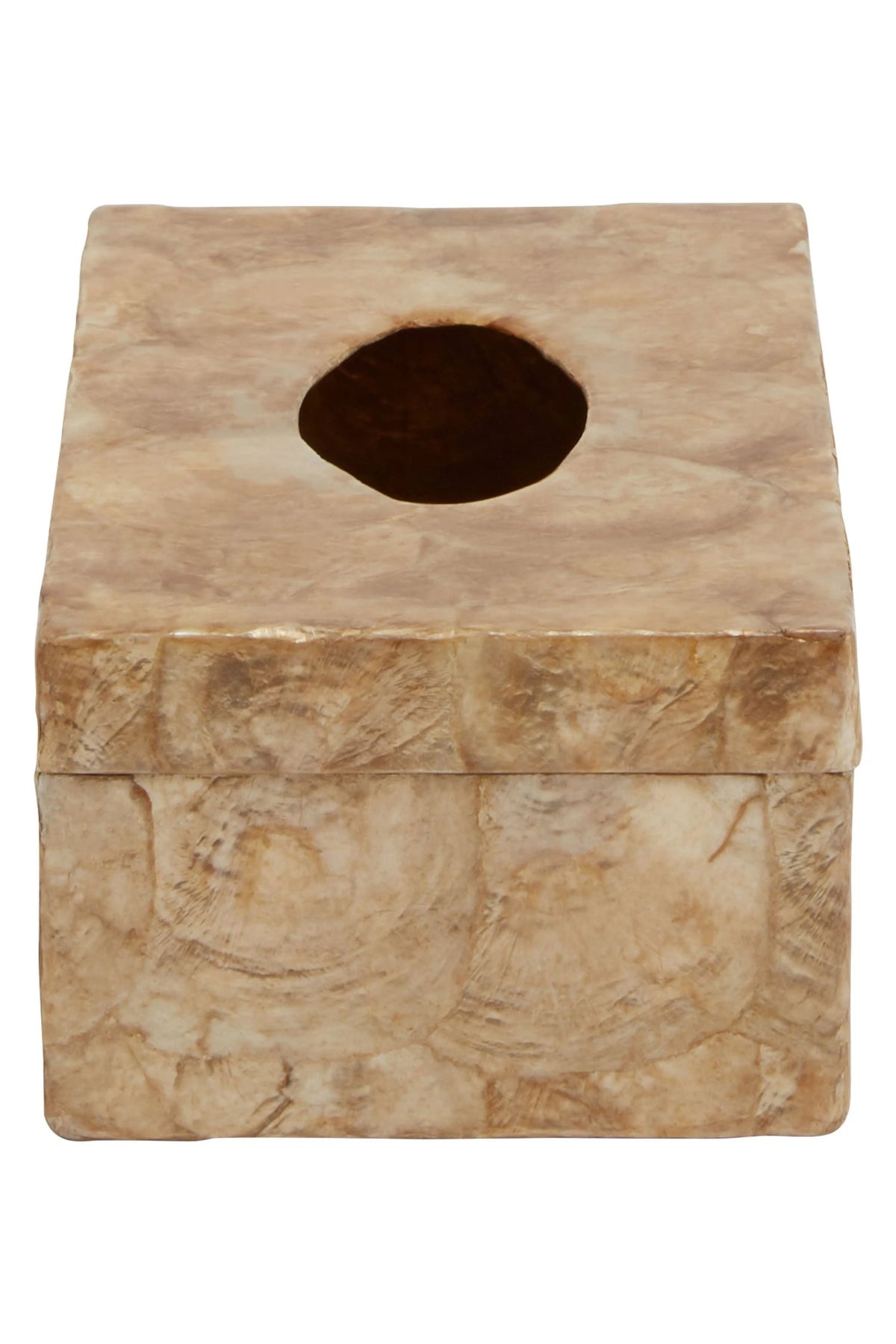 Pelara Beige Seashell Tissue Box