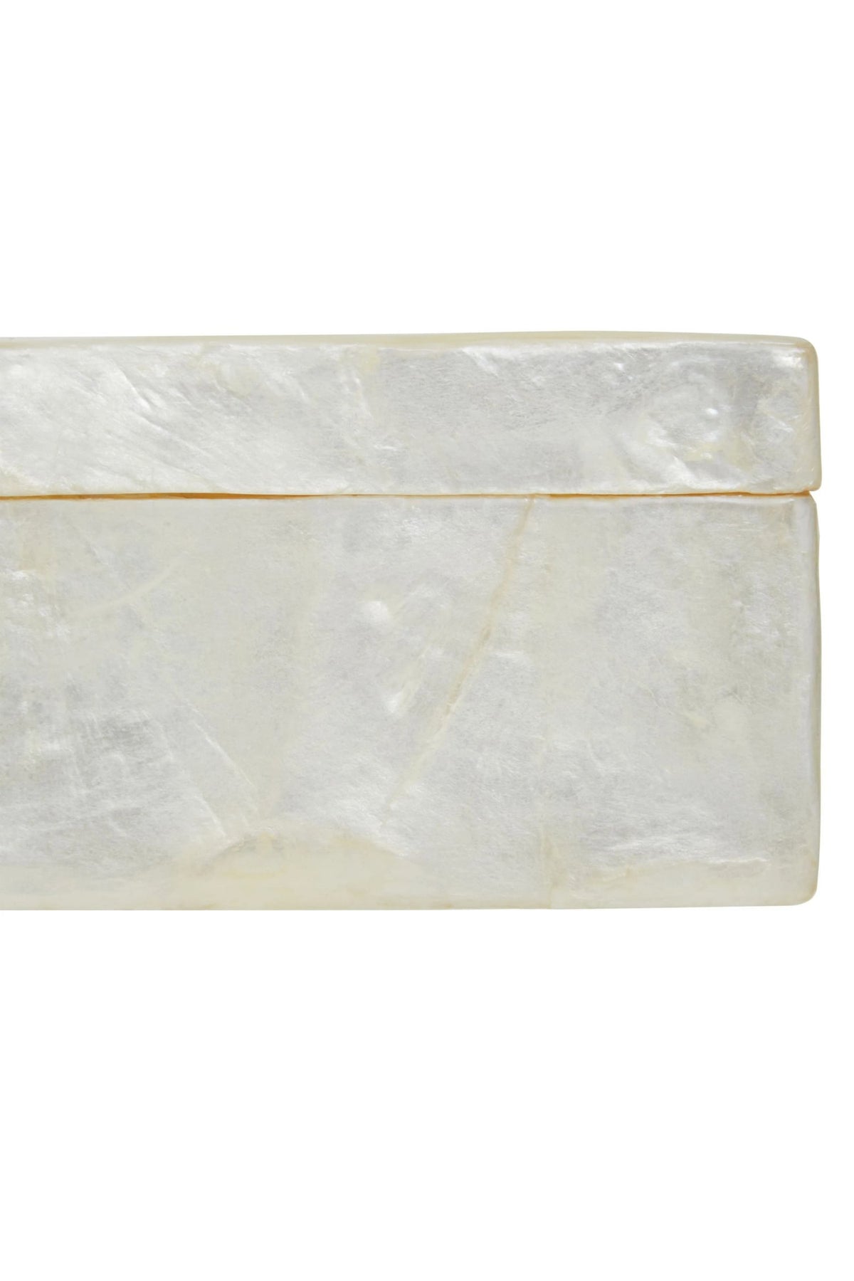 Pelara White Sea Shell Tissue Box
