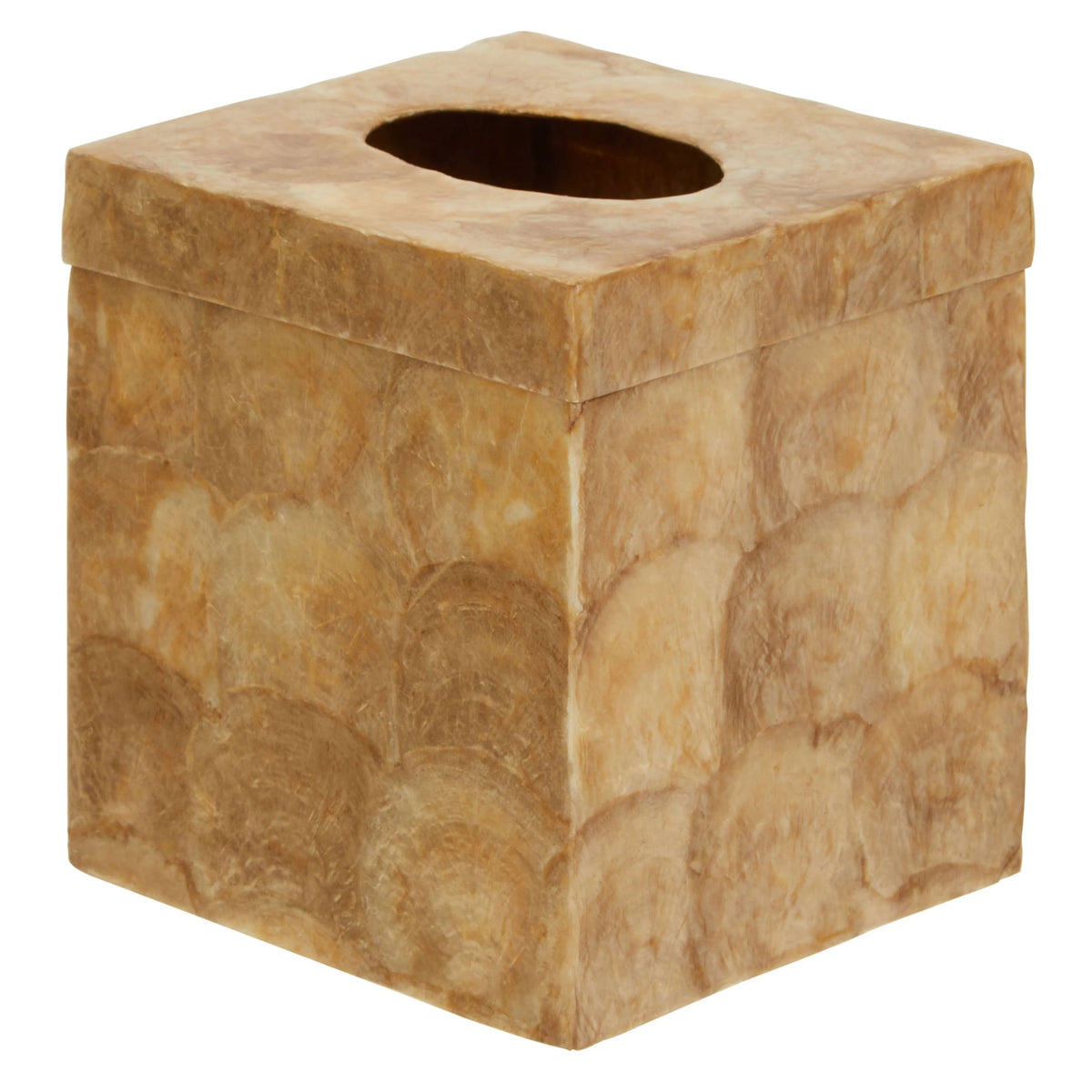 Pelara Beige Seashell Square Tissue Box