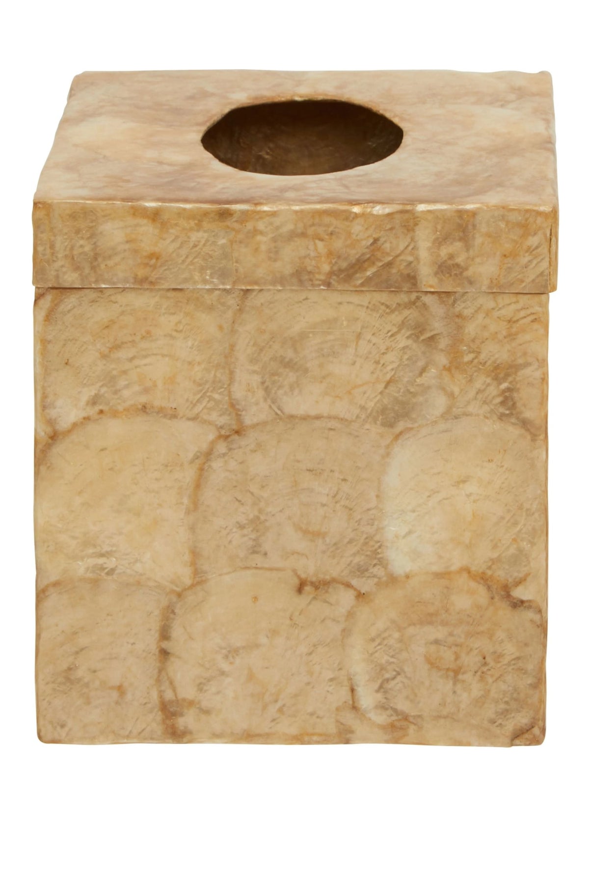 Pelara Beige Seashell Square Tissue Box