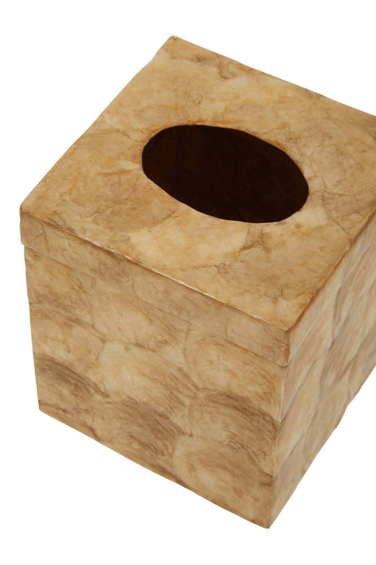Pelara Beige Seashell Square Tissue Box