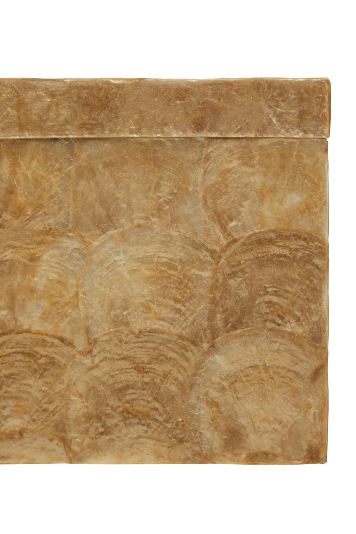 Pelara Beige Seashell Square Tissue Box