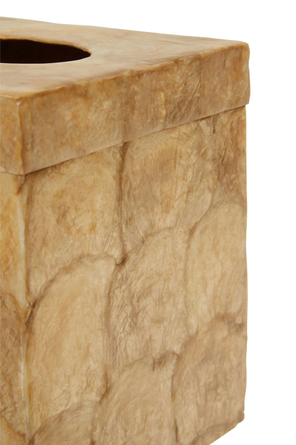 Pelara Beige Seashell Square Tissue Box