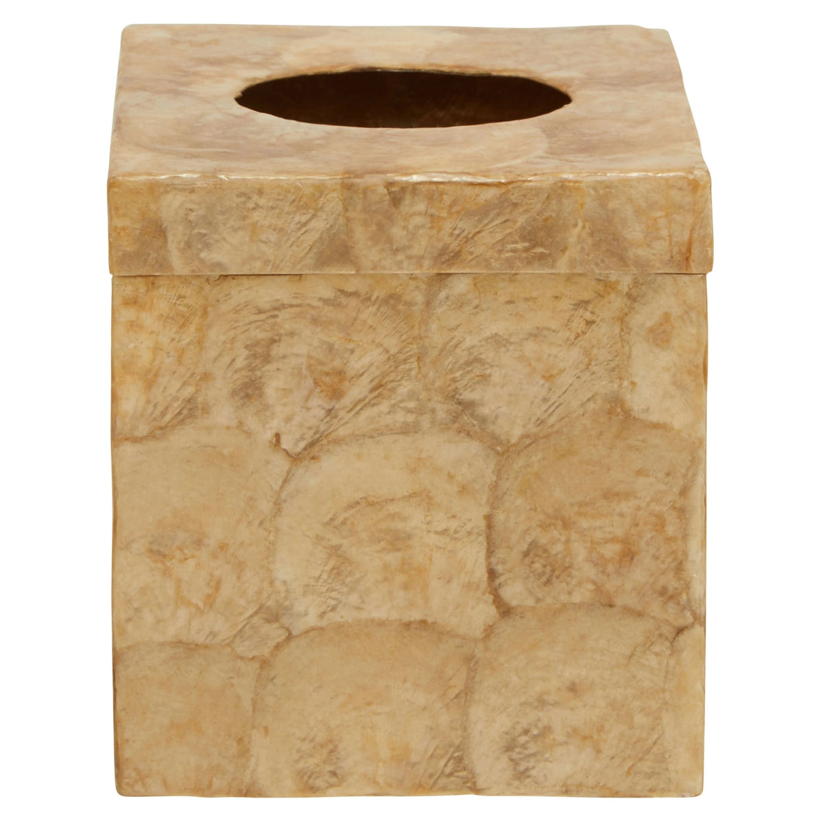 Pelara Beige Seashell Square Tissue Box