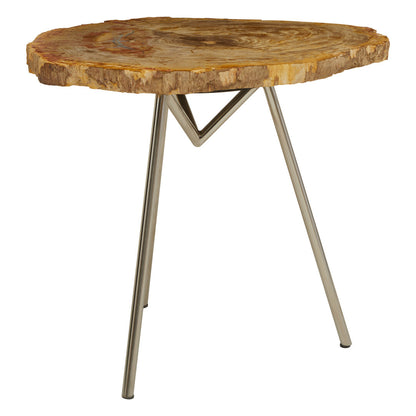Artifact Large Petrified Wood Side Table