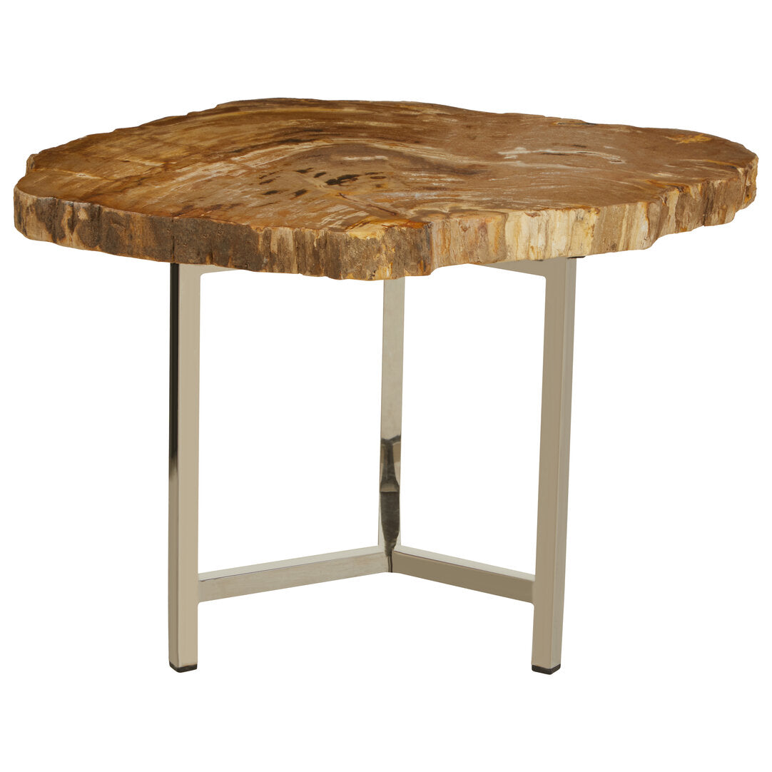 Artifact Small Petrified Wood Side Table