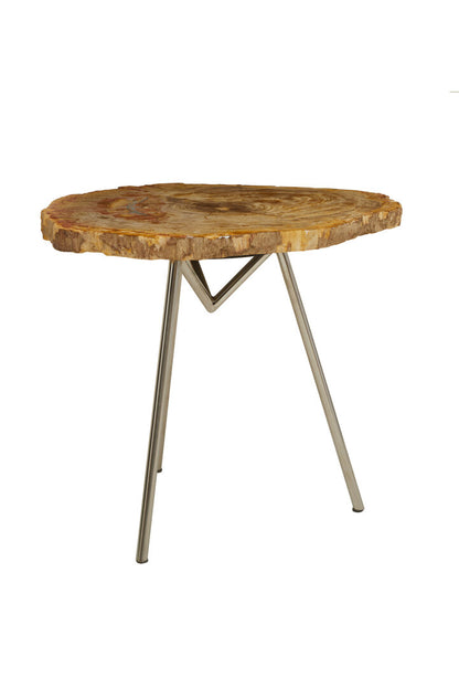 Artifact Large Petrified Wood Side Table