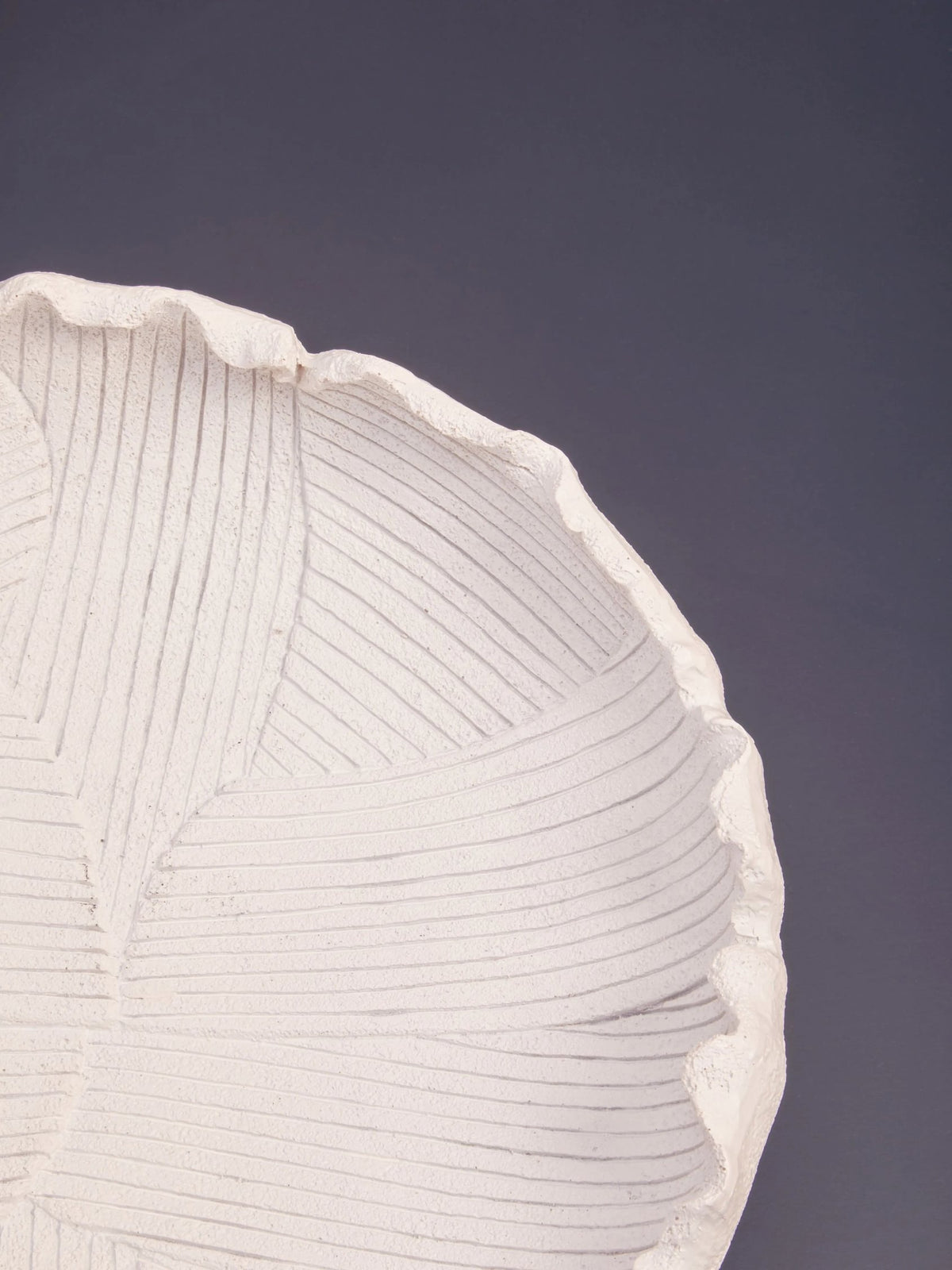 Premier Housewares product image
