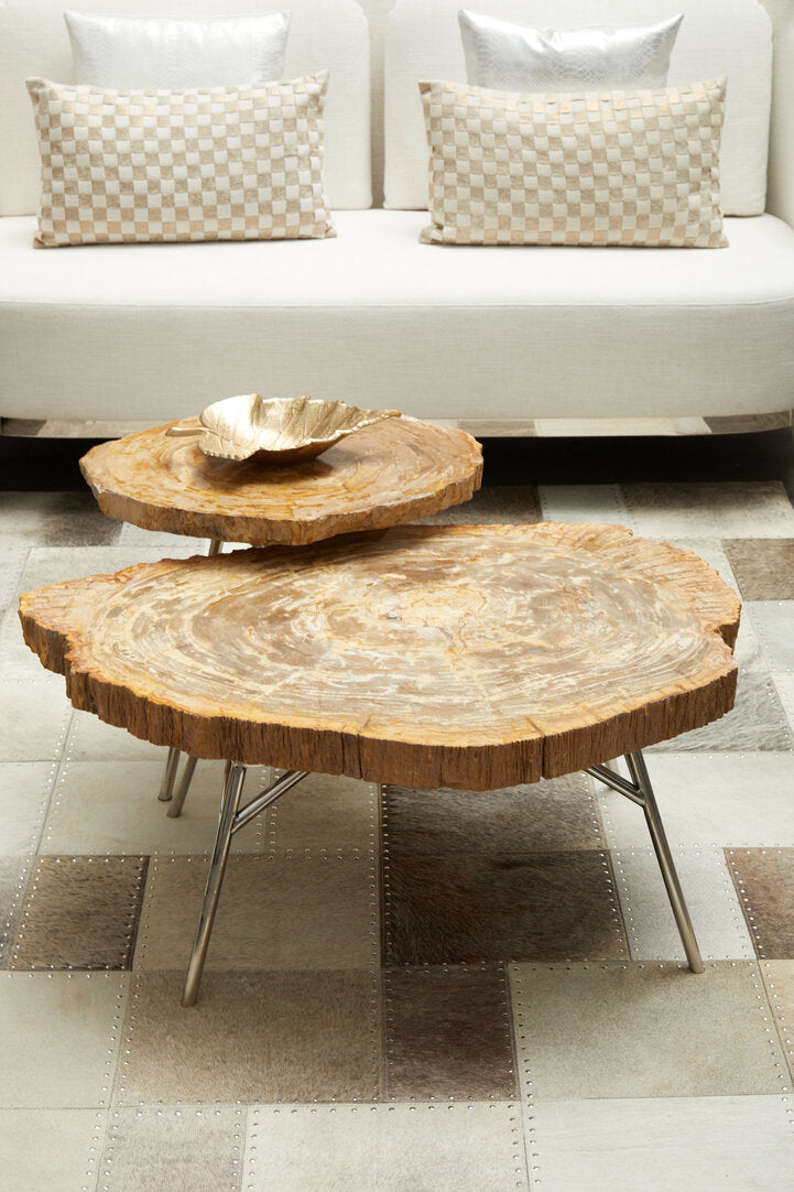 Artifact Natural Petrified Wood Coffee Table