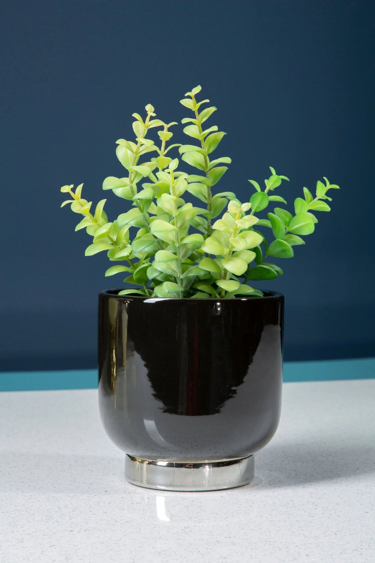 Premier Housewares product image