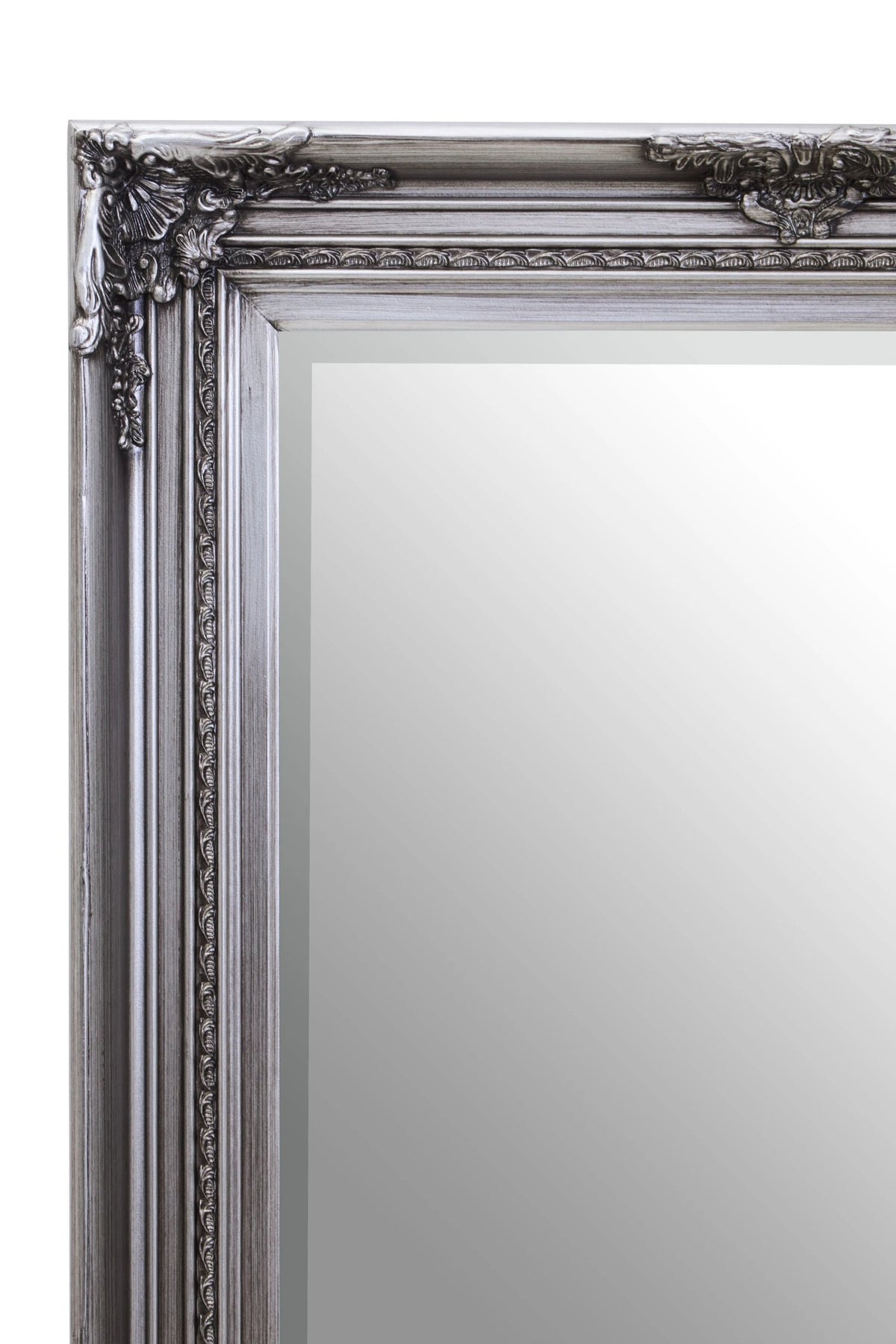 Silvane Silver Wooden Frame Full Length Wall Mirror