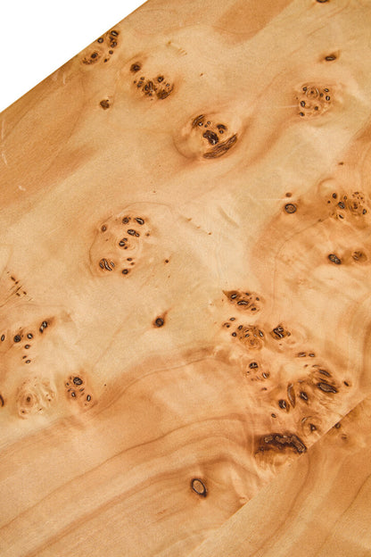Sequoia Burl Wood Design Curved Coffee Table