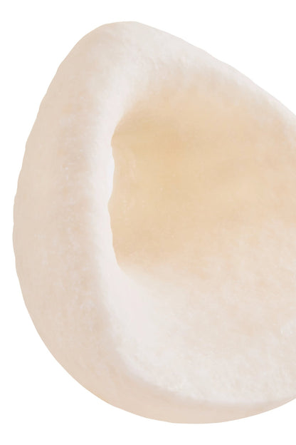 Premier Housewares product image
