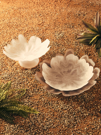 Premier Housewares product image