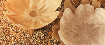 Premier Housewares product image