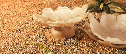 Premier Housewares product image