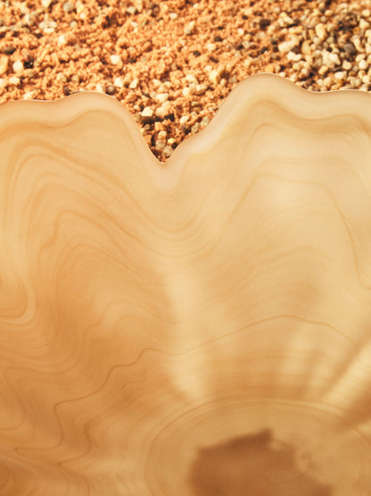 Premier Housewares product image