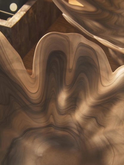Premier Housewares product image