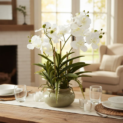 White Vanda Orchid Plant In Ceramic Pot