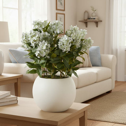 Large Green Hydrangea Plant In Pot