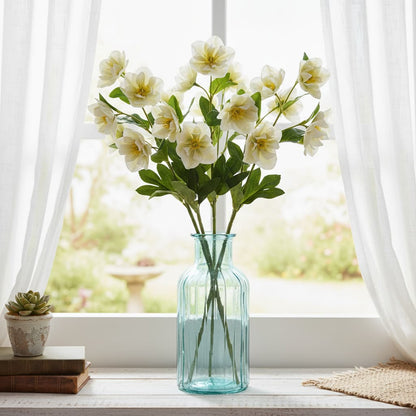 White Hellebore Stem