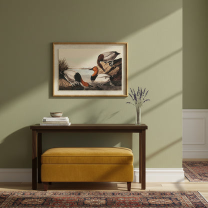 Flora & Fauna Collection Pochards On Linen In Beaded Frame