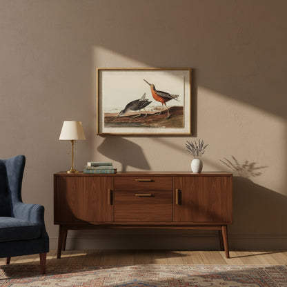 Flora & Fauna Collection Snipes On Linen In Beaded Frame