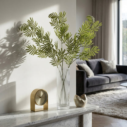 Silver Wattle Leaf