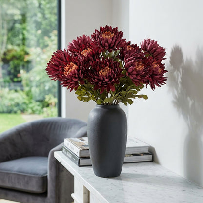 Autumn Spider Chrysanthemum