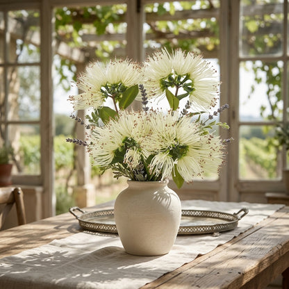 Cream Protea Nitida Spray