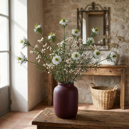 The Natural Garden Collection White Nigella Love In A Mist