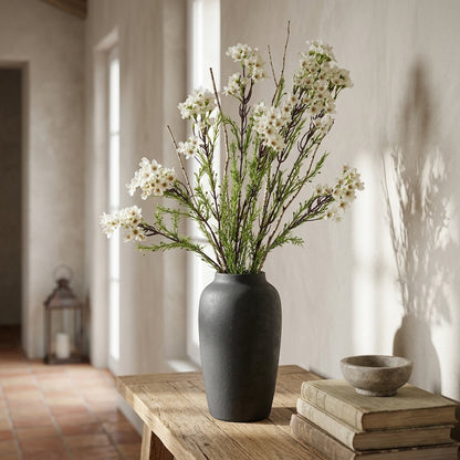 The Natural Garden Collection White Waxflower