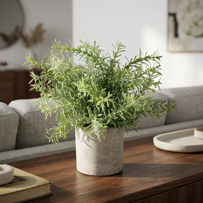 Rosemary Plant In Stone Effect Pot